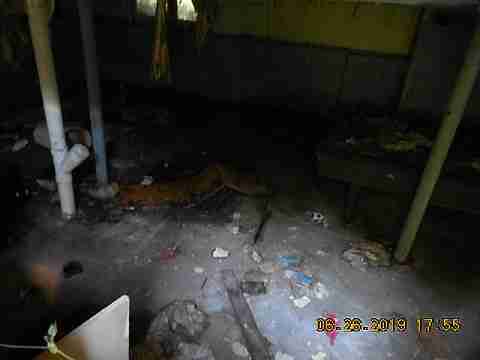 12754 Marlowe (24)_m.jpg